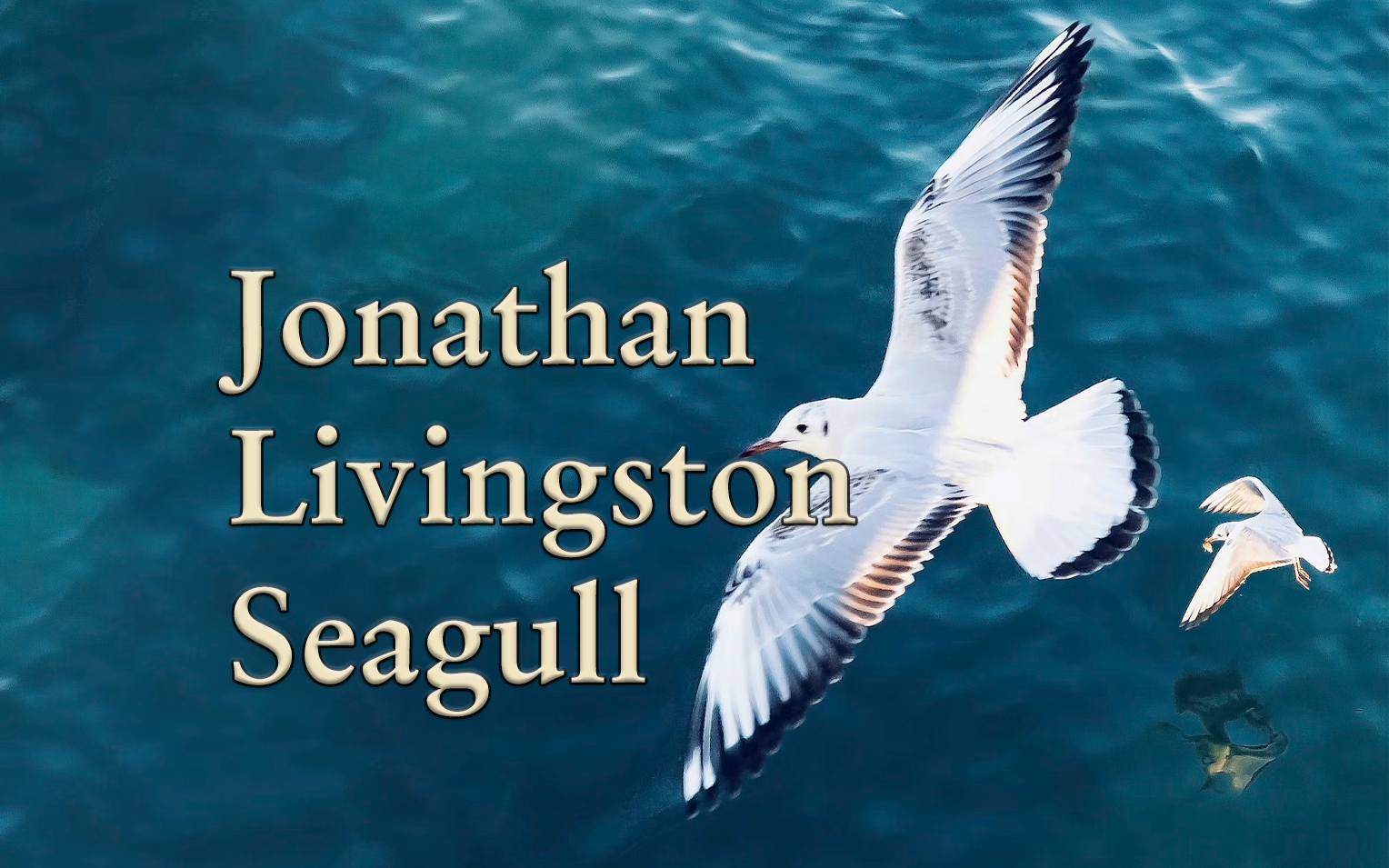 Jonathan Livingstone Seagull