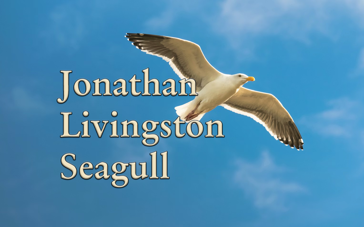 Jonathan Livingstone Seagull